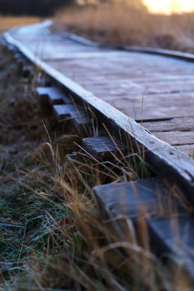 Bohlenweg im kalten Morgenlicht. Detailaufnahme mit unscharfem Hintergrund