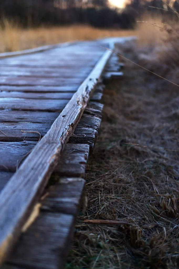 Bohlenweg im kalten Morgenlicht. Detailaufnahme mit unscharfem Hintergrund